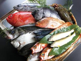 お品書きイメージ2-1