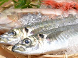 お品書きイメージ2-2