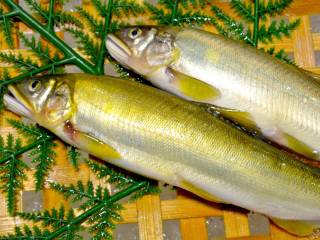 お品書きイメージ2-3