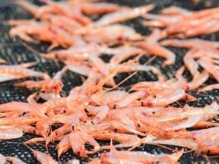 ニュースイメージ2-3