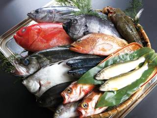 ニュースイメージ1-3