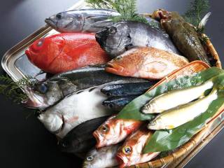 旬の刺し盛３品